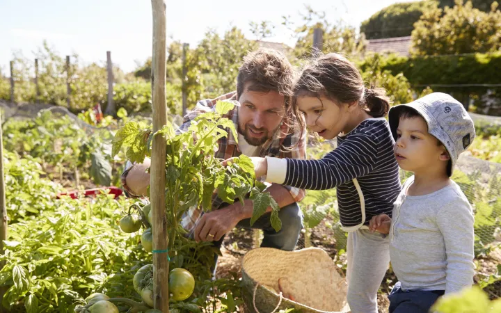 Nachhaltig leben Familie Garten