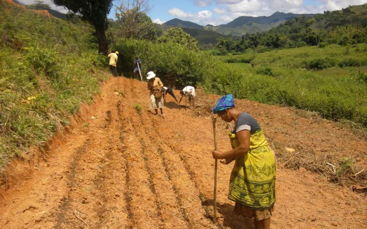 Les agriculteurs sont formés dans le travail sur le terrain par les employés du WWF