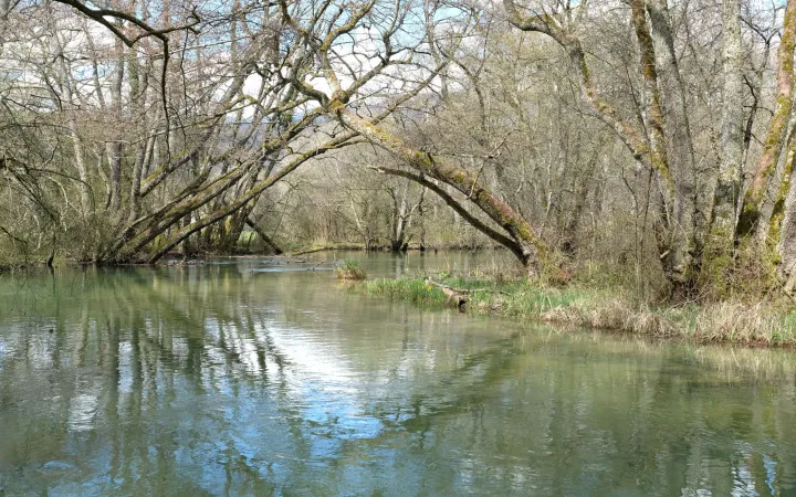 Schweizer Fluss Versoix