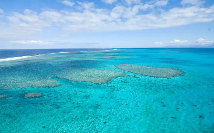 Luftaufnahme der Korallen in Neukaledonien