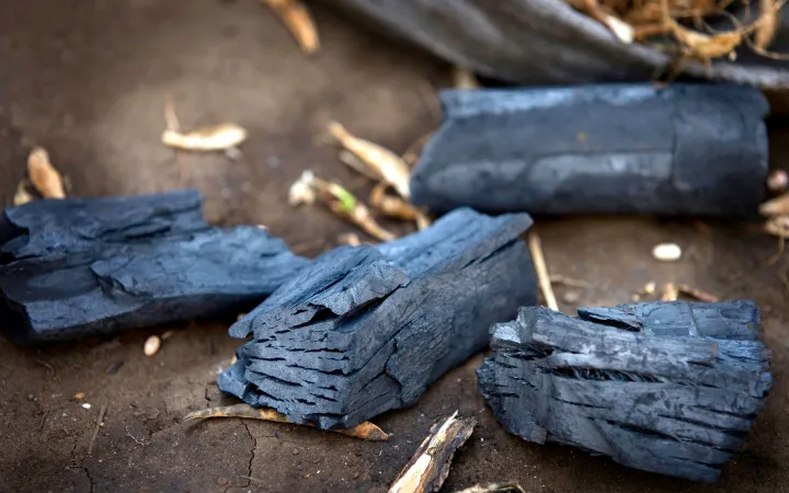 Detailaufnahme Holzkohle