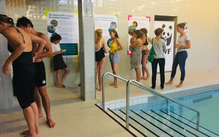 Informationen zu Korallen