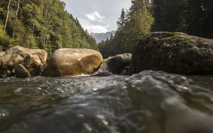 Nahauafnahme der Emme