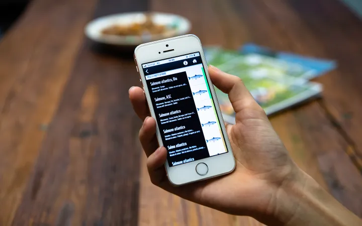 guide di applicazioni mobili