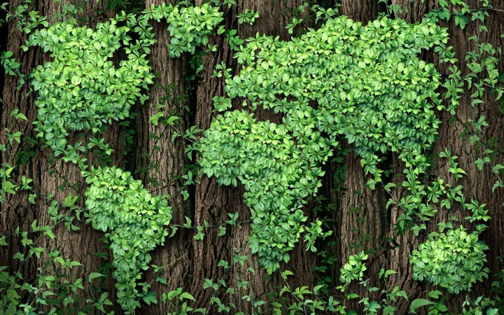 Weltkarte aus Pflanzen 