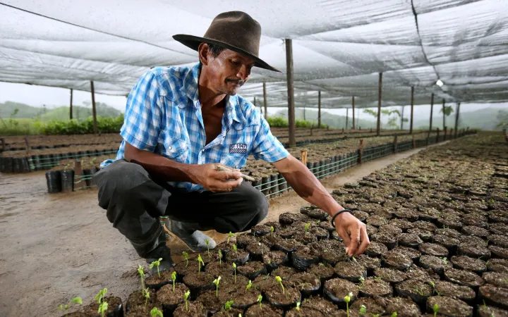 Aprosacao Aufforstungsprojekt