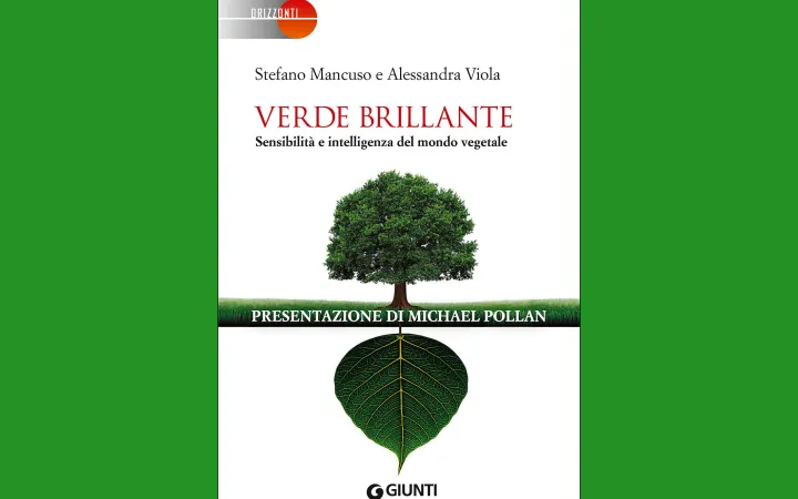 libro verde Brillante