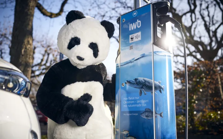 IWB Projekt Chargebox