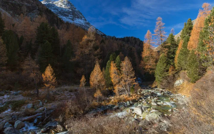 Im und um den Fluss bietet der Beverin vielen Tieren und Pflanzen einen Lebensraum