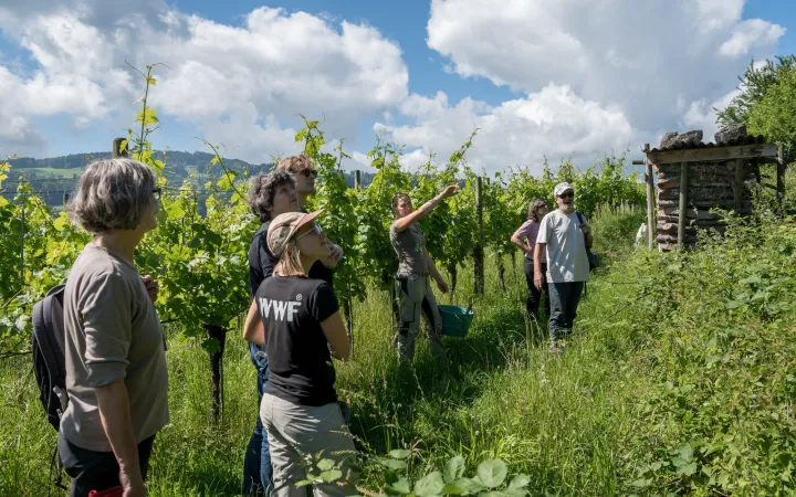 Gruppe mit Freiwilligen im Biorebberg