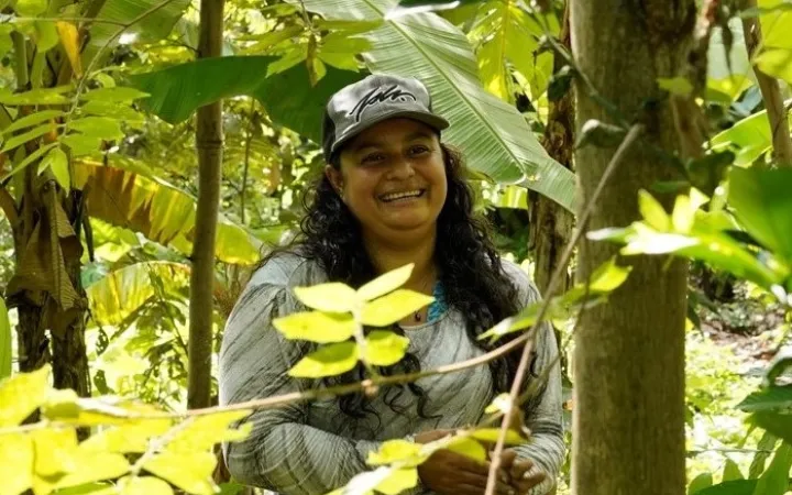 Coop Insetting Cocoa Ecuador