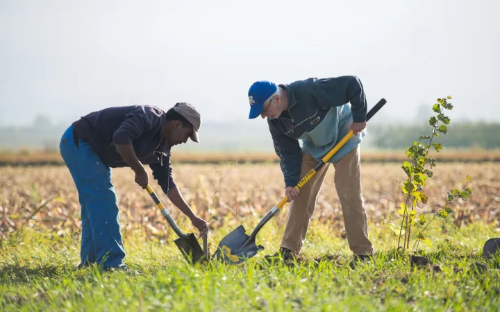 Freiwilligeneinsatz beim Projekt "Natur verbindet"