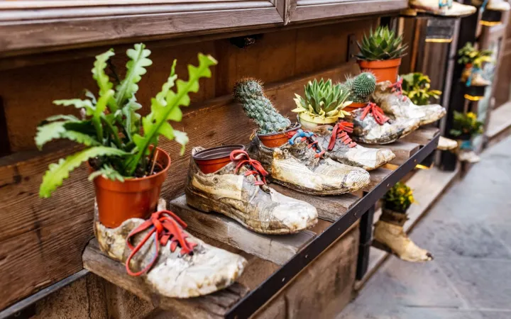 Lidl Sensibilisierungskampagne