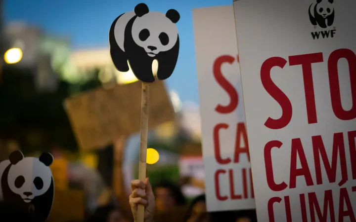 Plakate an einer Klimademonstration in Madrid