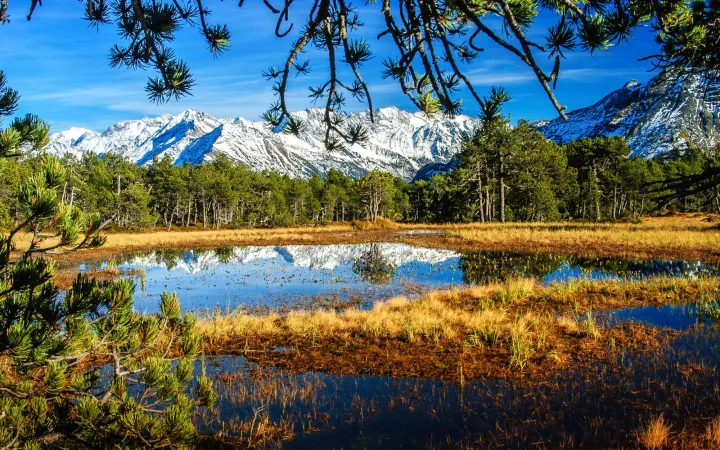 Moor mit Bergen im Hintergrund