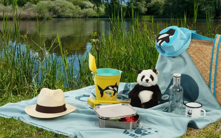 Ein Picknick am See