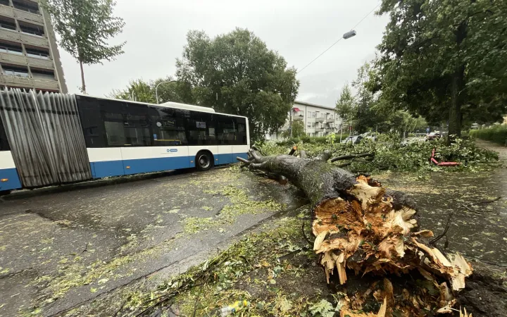 Sturmschäden in Zürich, Schweiz, 2021