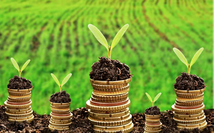 Nachhaltige Finanzierung der Wirtschaft