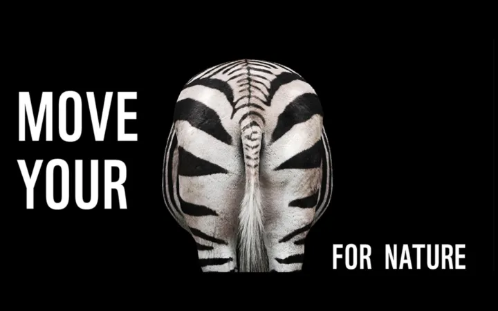 Pandanation: Move your Zebra