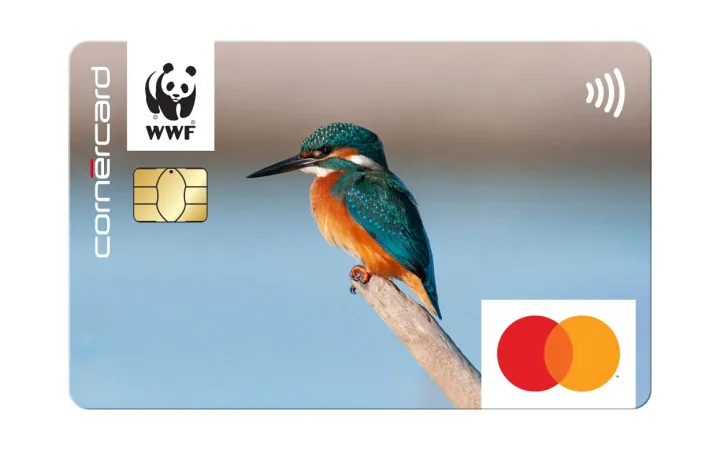 WWF Cornercard mit dem Motiv Eisvogel
