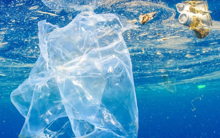 Krabbe, gefangen in einem Plastikbeutel