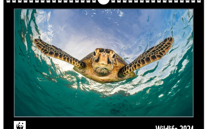 WWF Jahreskalender 2024 Titel