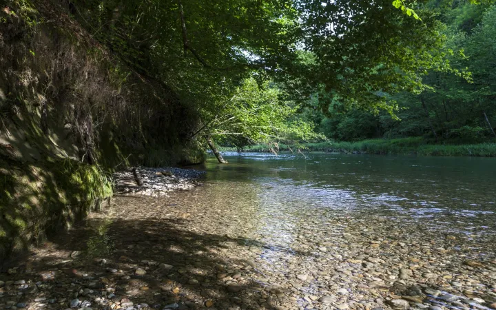 Blick auf die Töss in der Schweiz