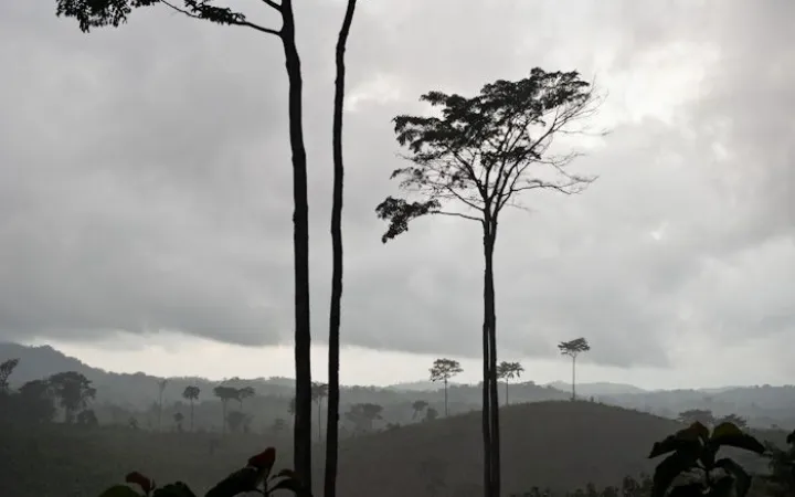 Abgeholzte Wälder von Ost-Usambara, Tansania