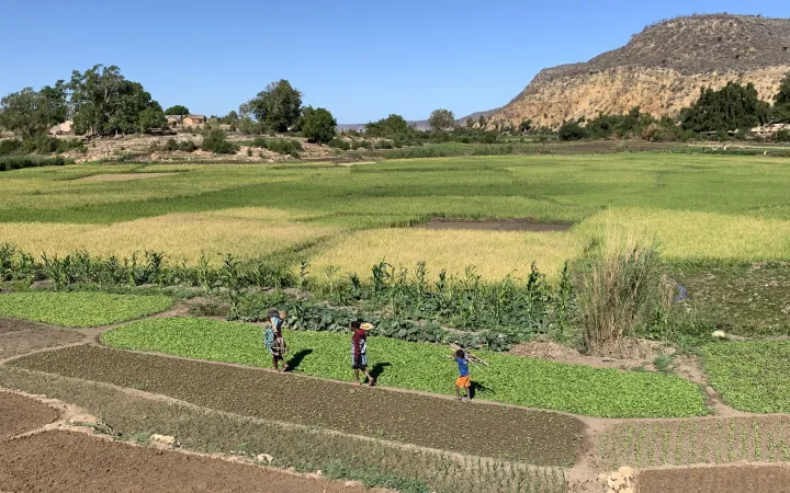 Drei Menschen auf einem Feld in Madagaskar