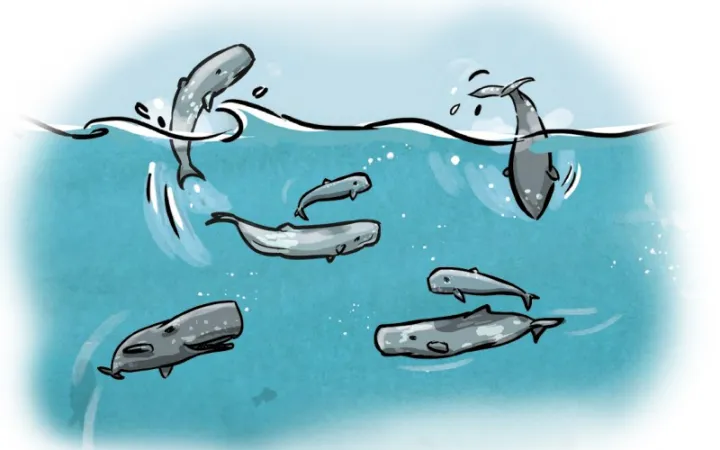 Illustraion von schwimmenden Walen