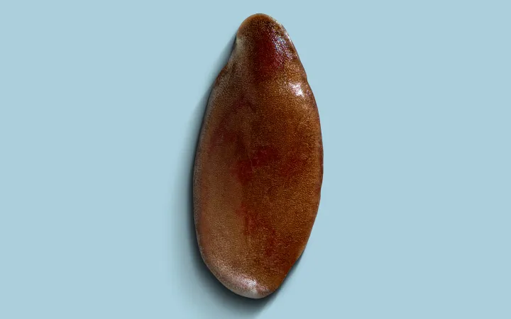 Ein detailliertes Bild von einem Öllein