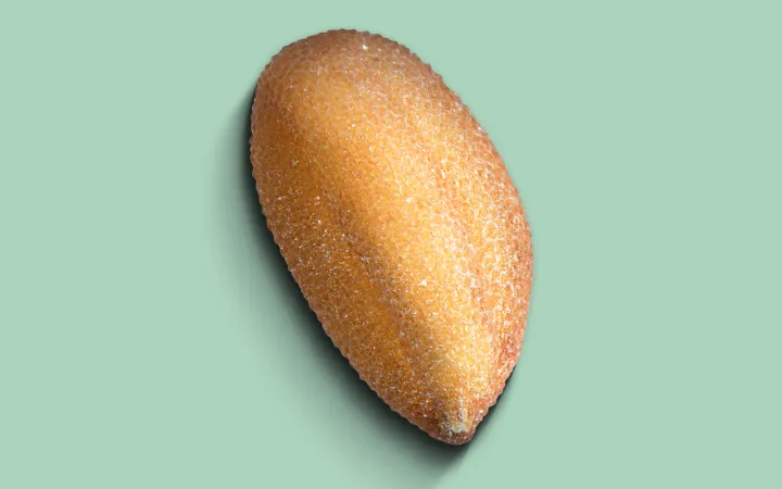 Ein detaillierter Ölleinsamen