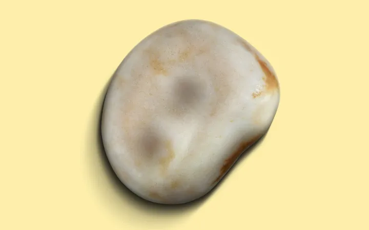 Detailliertes Lupinenkorn