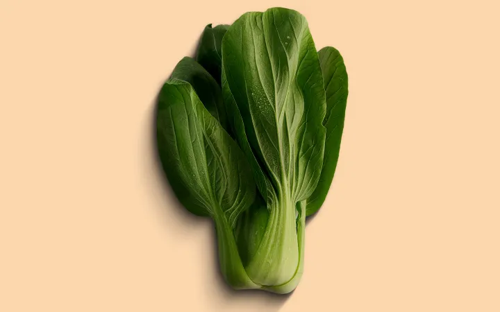 Detaillierter Pak-Choi