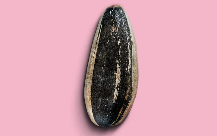 Eine detaillierte Sonnenblumensame