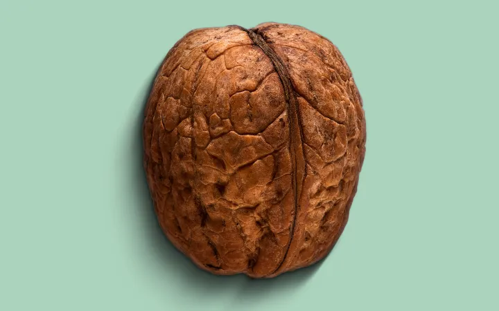 Detaillierte Walnuss