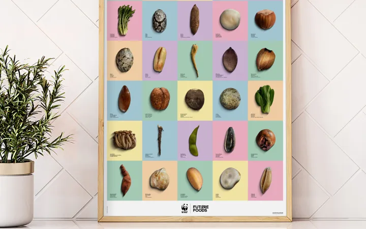 1420.60 WWF Poster «Future Foods»