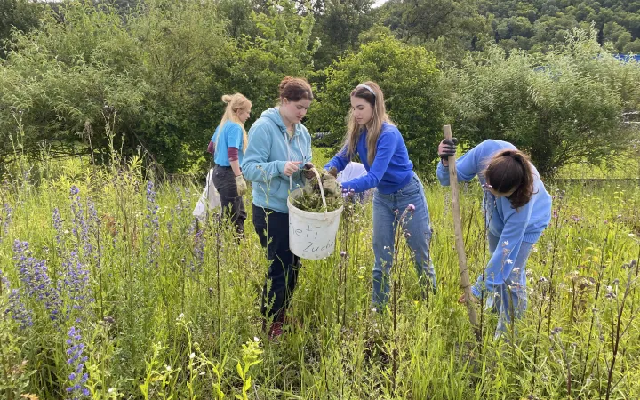 WWF Youth Freiwillige