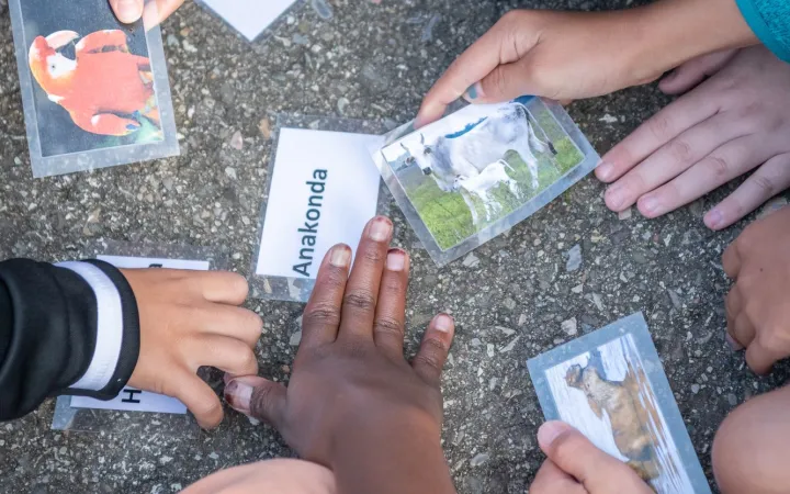 Schulbesuch mit Unterrichtsmaterialien