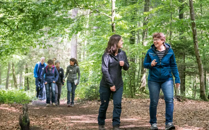 Lehrpersonen beim WWF Workshop