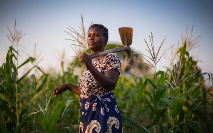 Since 2009, Mary Chitebe has lived in an elephant corridor from Sioma Ngwezi National Park to the Zambezi River. Herds damage crops and property and threaten lives, yet with no alternative land, her family stays despite raids.