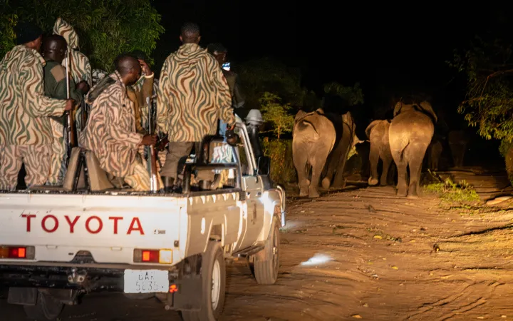 At 2 AM, wildlife officers guide elephants from South Dambwa back to Mosi-oa-Tunya National Park. Rising conflicts spur local frustration, prompting a new rapid response team to manage encounters and educate the community.