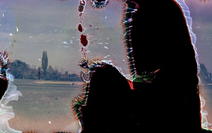 Fotoserie Nährstoffkonzentration