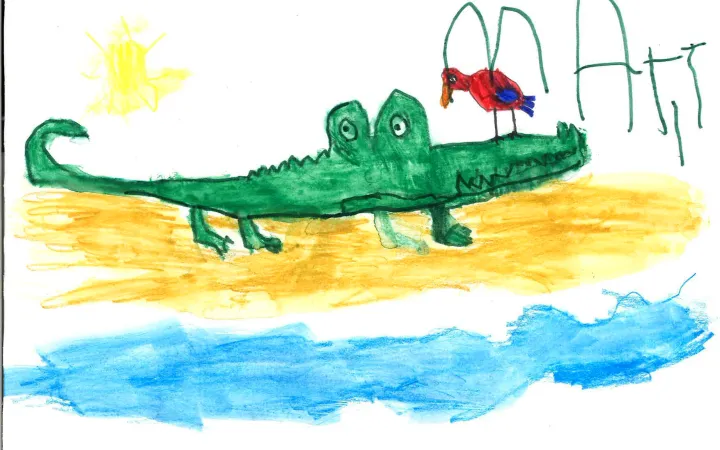 Drawing of a crocodile Panda Club kid