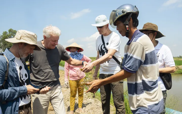 Bauern und WWF mitarbeitende schauen sich Shrimp an, Ca Mau