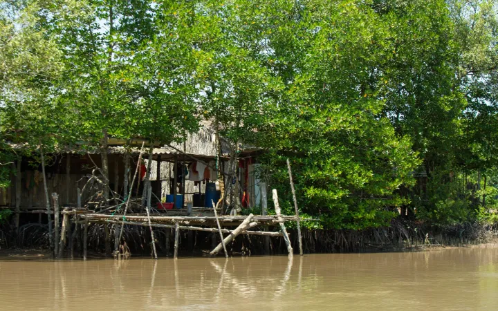 Haus über Brachwasser gebaut in Ca Mau, Vietnam