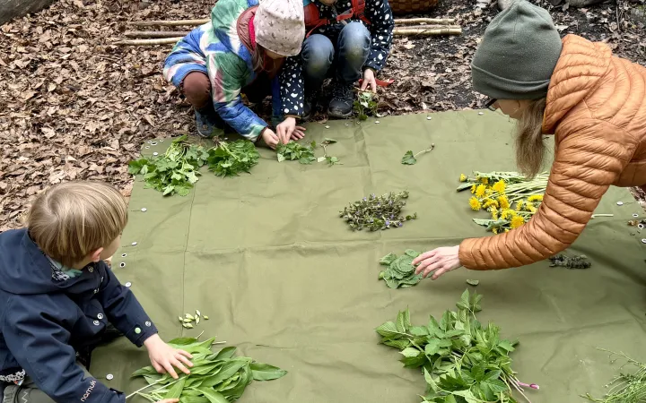 kids on a blanket in the frest