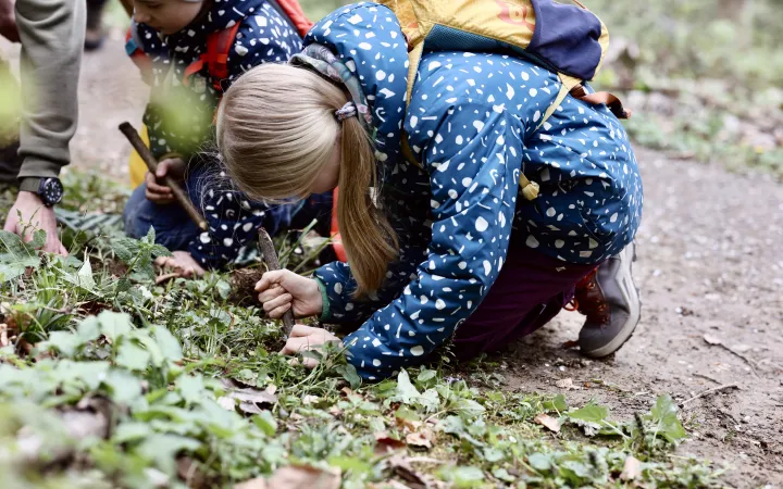 girl digs for some eatable plants in forest