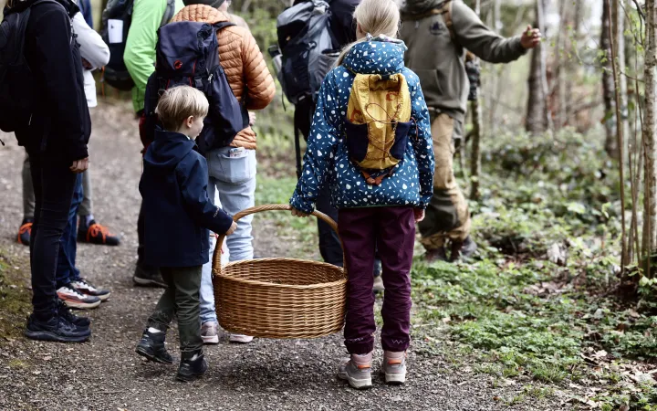 kids in forest 