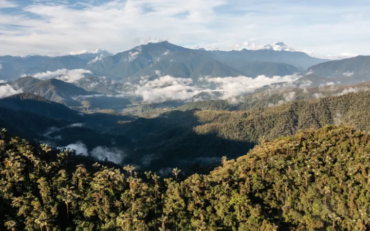 Hügelige bewaldete Landschaft in Ecuador